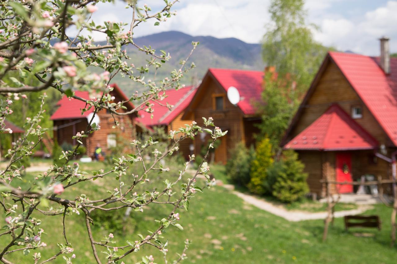 Teremok Guest House Vyshka Ngoại thất bức ảnh